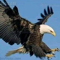 nay.phone.khant79