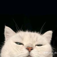 suara asli - Oscar's TM