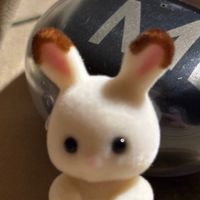 aeiaei_iiz