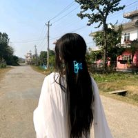 suzuran262