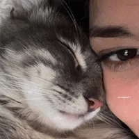 original sound - rebecca_xjo