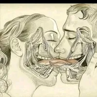 original sound - mer29024