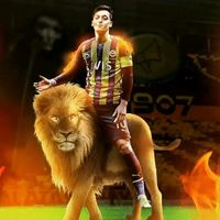 iboreiz31