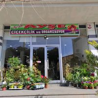selin_ayse_cicekcilik27