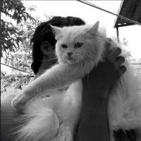 original sound - d.9i_1