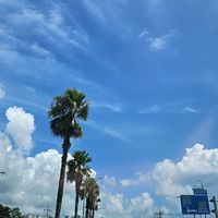 오리지널 사운드 - 매께라