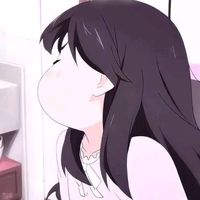 sam_ert