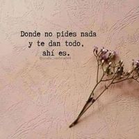 diosesmiguia508