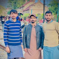 maliks3811