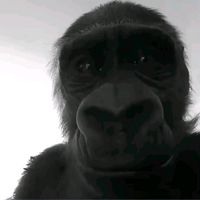 original sound - eric_southpark