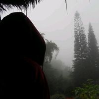 เสียงต้นฉบับ - ♥️Vanvisa_nong🥰🥰