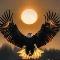 _alexx09294