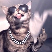 suara asli - (☞ ͡ ͡° ͜ ʖ ͡ ͡°)☞ sayang ibu