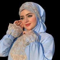 ic_shilan