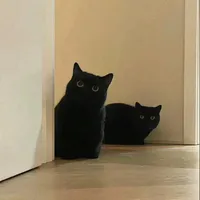 original sound - trantranyeuanh0