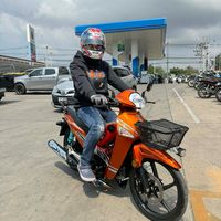 tle_1994
