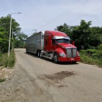 el.cobijas2