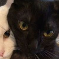 original sound - Tokyaoo_kimika