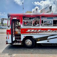 road_runner_unlimited