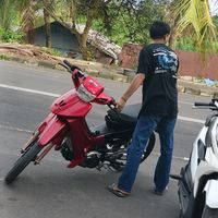 suara asli - Bray Template🌐