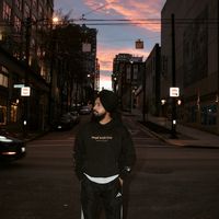 singhwithlenz