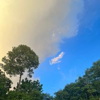 เสียงต้นฉบับ - เรื่อยเปื่อย🍃