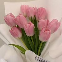 nrr_366