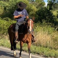 _caavalheiroo_