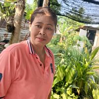 เสียงต้นฉบับ - Ying Lee995