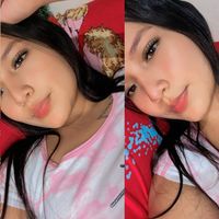 stefa_396