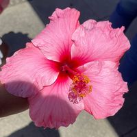 eyza_022