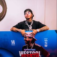 westcol.clips9