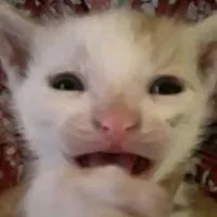 original sound - hewrub.wav