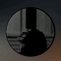 .mla94