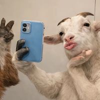 zptt_jessa