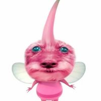 ellixav