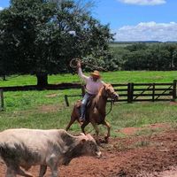 rodrigoalexandre021