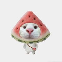 onnich_15