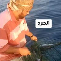 aboodalbalusshi