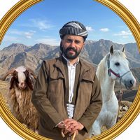 birhad_gravi.golli