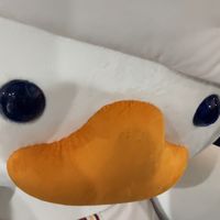 _mmmm_316