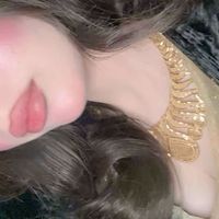 fr__2007_ha