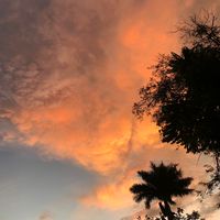 pithai.z
