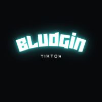 bludgin_