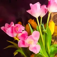 original sound - maz_5252