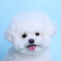 ming9__mini