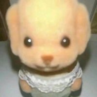 rkaksuds1114