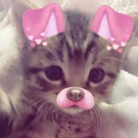 user14562881