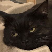 whowasborninday7