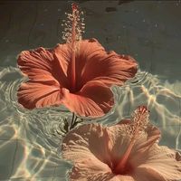 suara asli - nyaho mereen